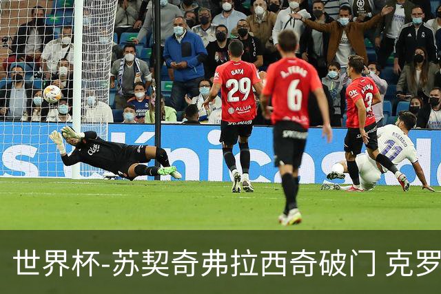 世界杯-苏契奇弗拉西奇破门 克罗地亚2-1加纳小组第二
