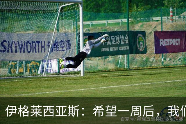 伊格莱西亚斯：希望一周后，我们能和西班牙球迷一起庆祝夺冠