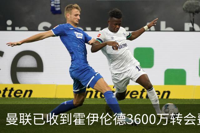曼联已收到霍伊伦德3600万转会费，夏窗预算2.5亿！谢什科改穿9号致敬伊布